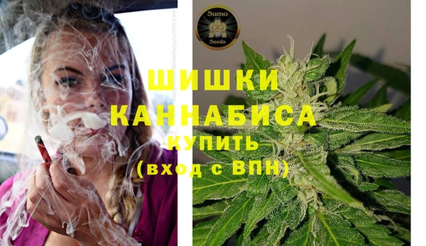твердый Горнозаводск