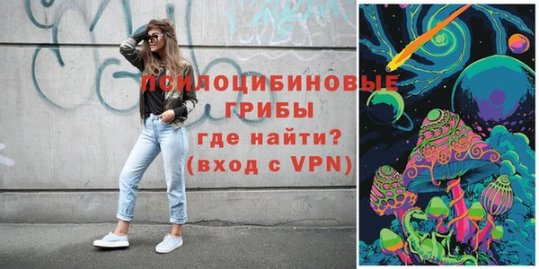 твердый Горнозаводск