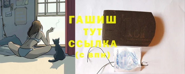 твердый Горнозаводск