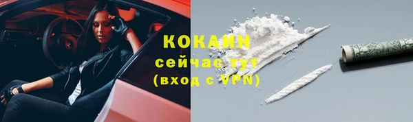 твердый Горнозаводск