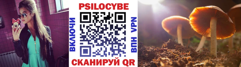 Псилоцибиновые грибы MAGIC MUSHROOMS  OMG tor  Москва 